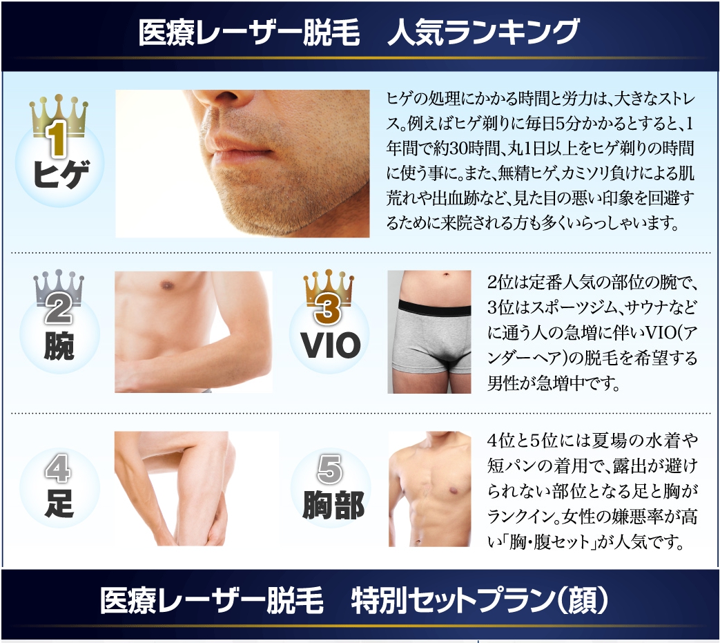 (人気らんきんぐしゃしん)